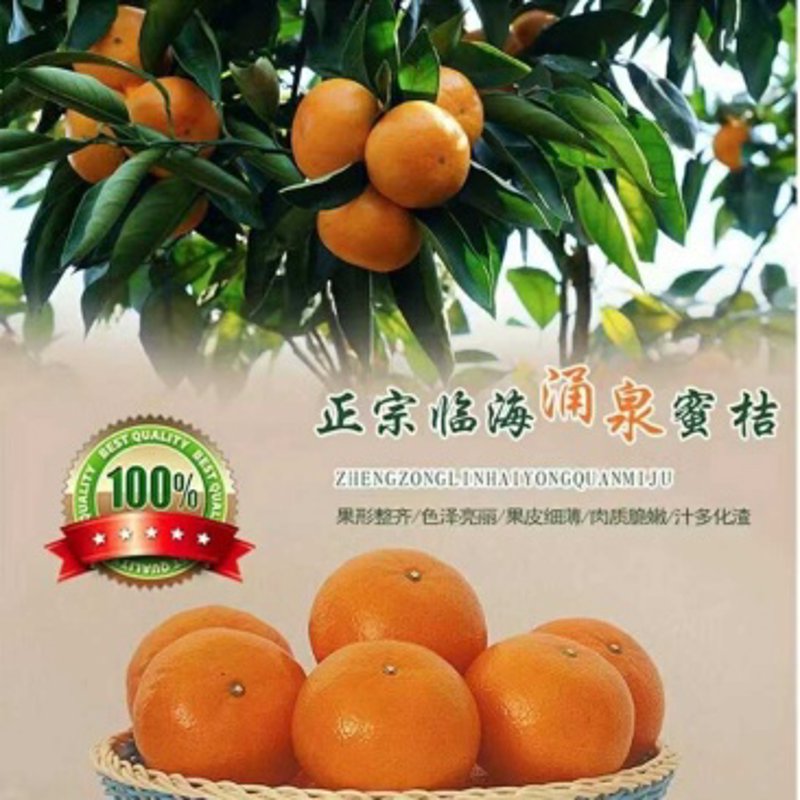 临海果蔬批发市场的前世今生：一场行业的深度解析